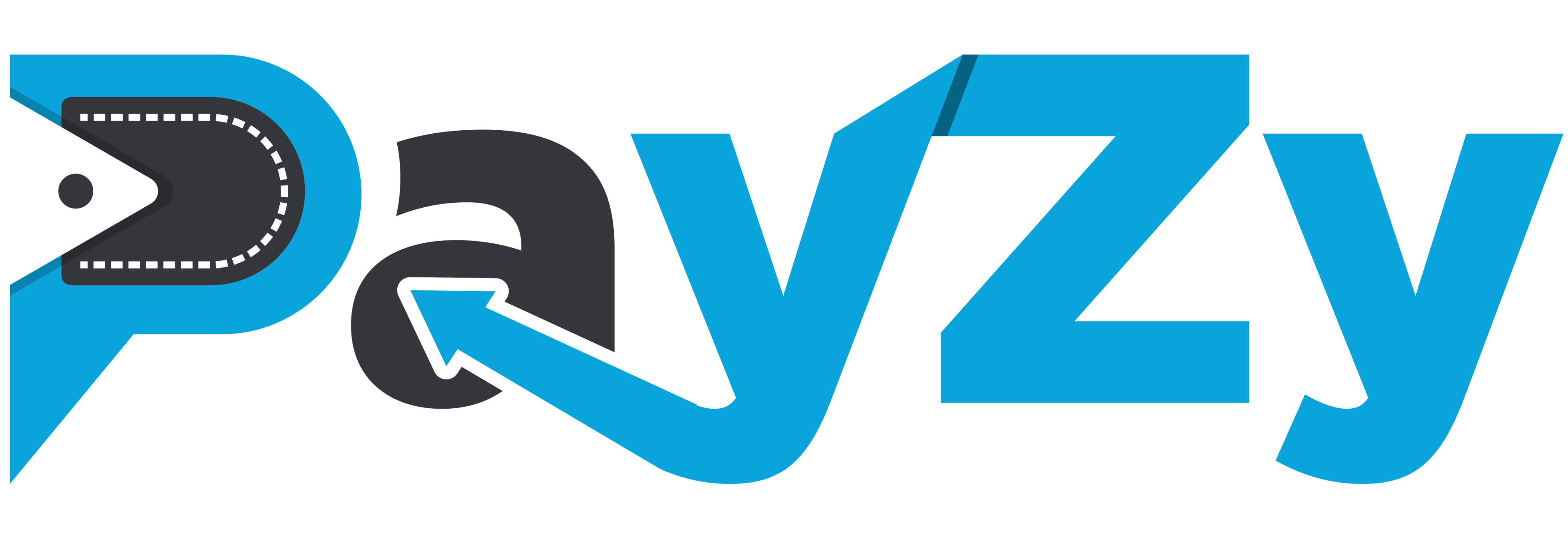 payzy logo